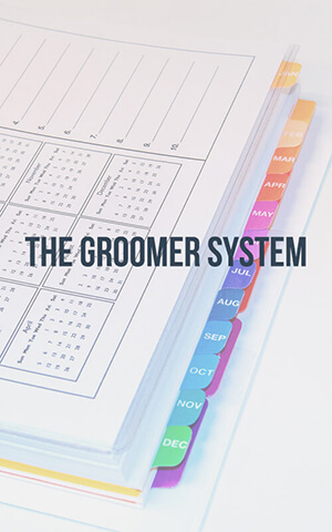 The Groomer System
