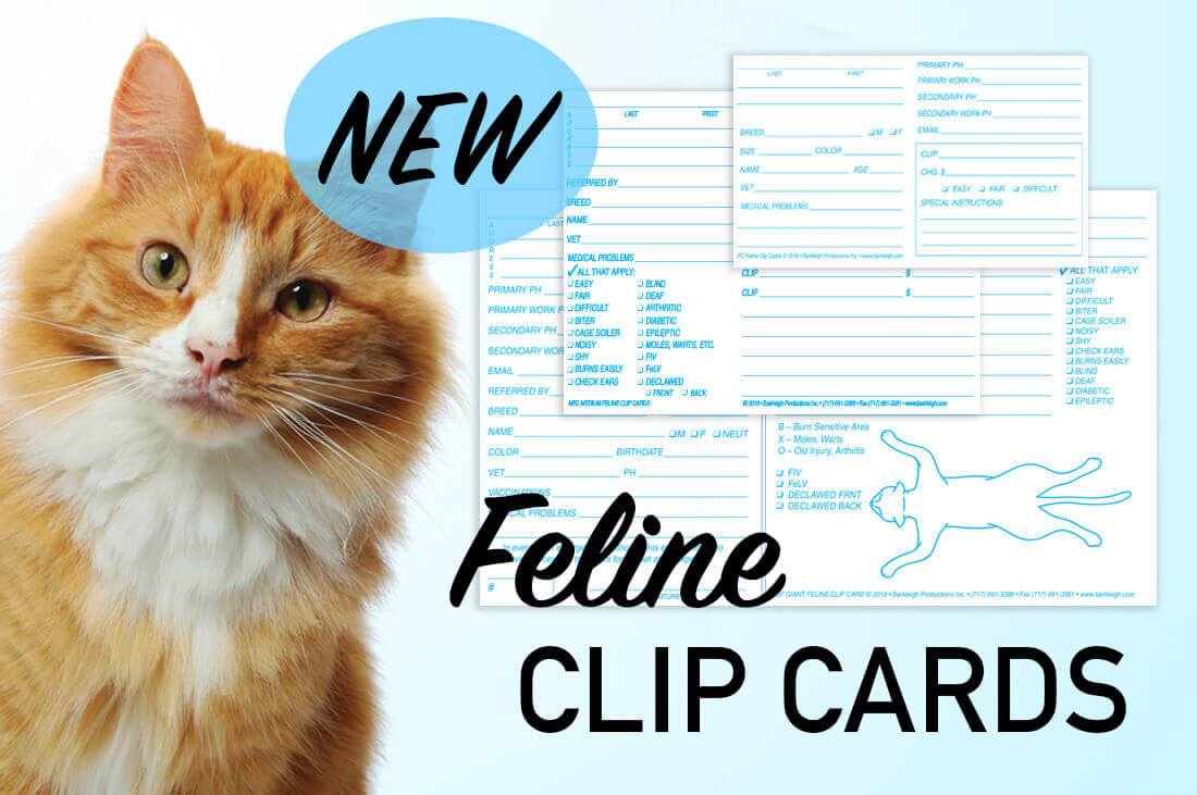 Feline Clip Card