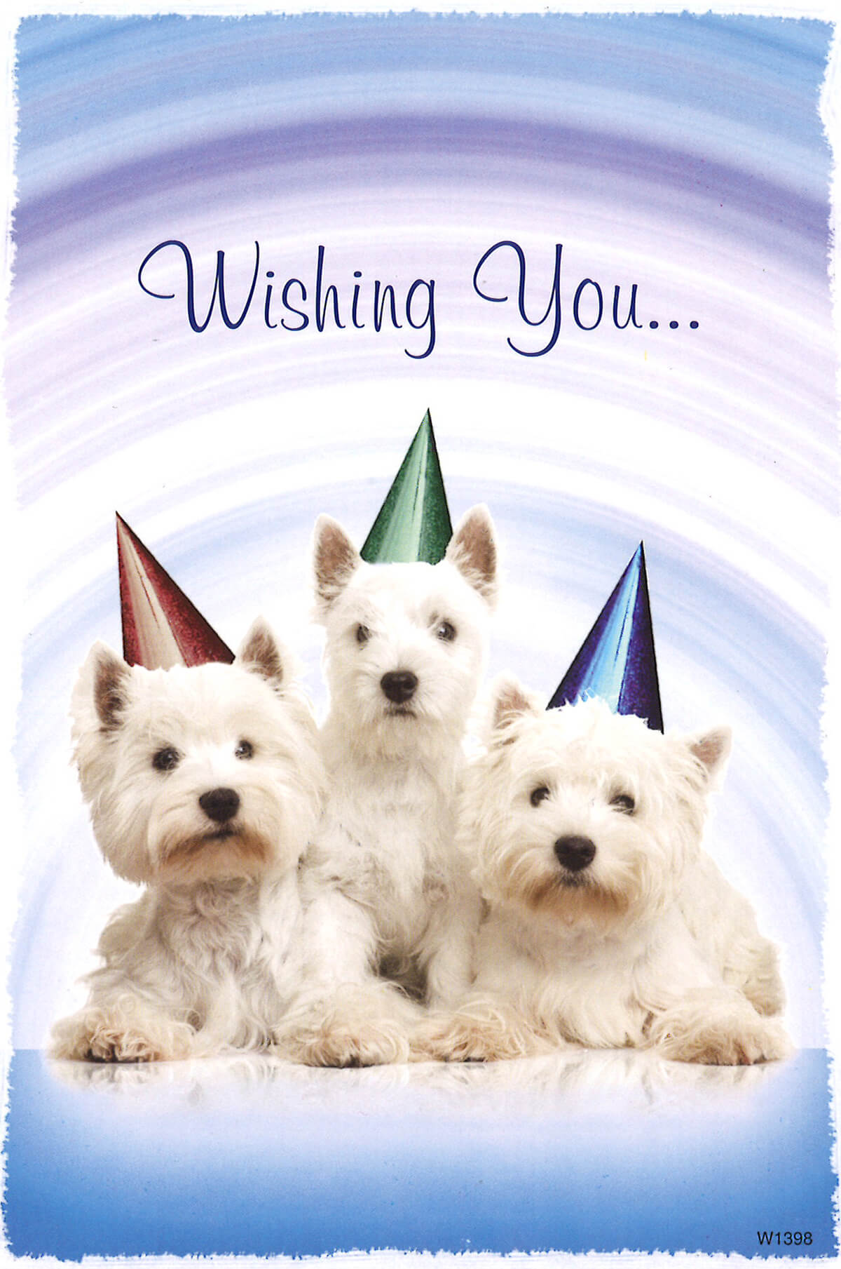 happy-birthday-from-your-groomer-barkleigh-store