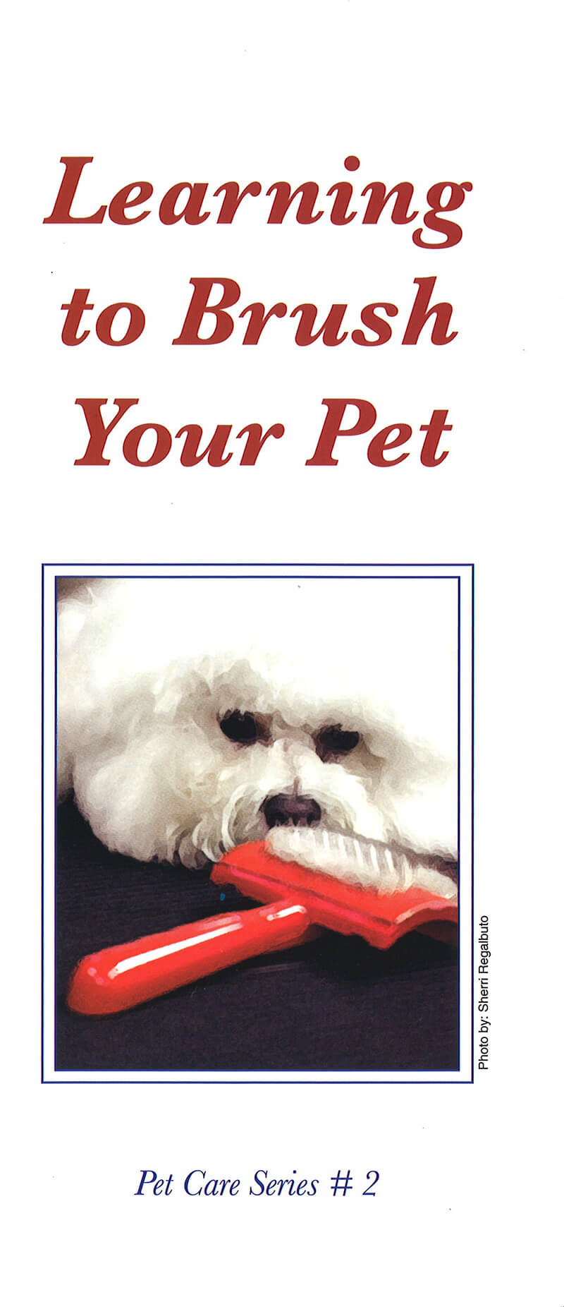Your Dogs Nationality Pet Pet Pet Product learning to brush your pet barkleigh store Your Dogs Nationality Pet Pet Pet Product learning to brush your pet barkleigh store