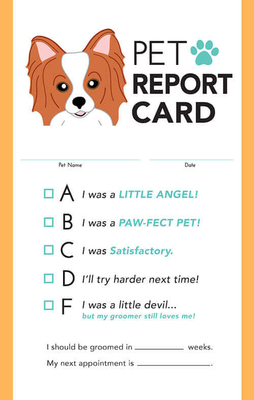 how do i report a dog