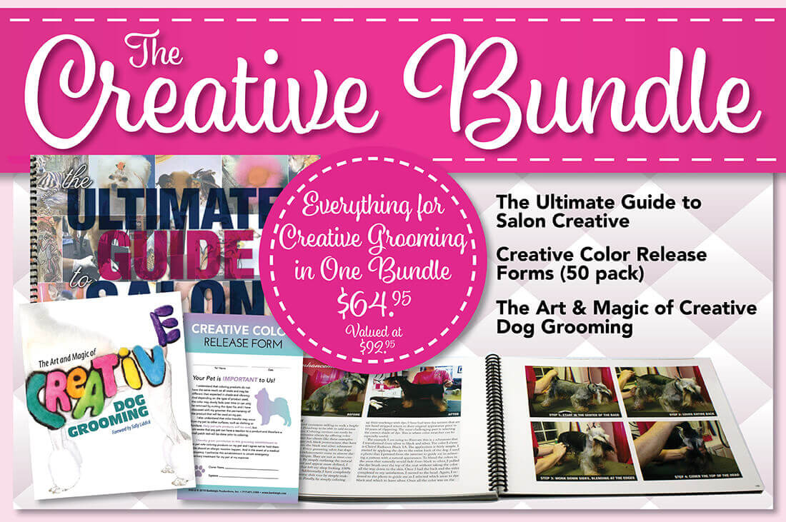 The Creative Bundle